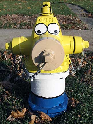 Homer Simpson - Madison and Cornell